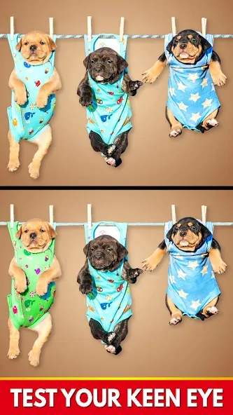 Find The Differences - Spot it [МОД Premium] APK Android Screenshot 3