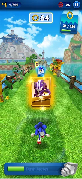 Sonic Dash - Endless Running (Соник Дэш) [МОД Много денег] APK Android Screenshot 4