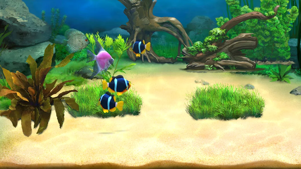 Aquantika [МОД Много денег] APK Android Screenshot 2