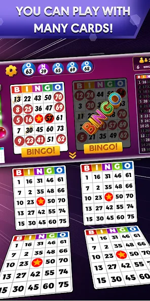 Bingo - Offline Bingo Game [МОД Premium] APK Android Screenshot 1
