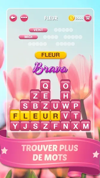 Mots Malins - Jeu de mots pro (Мо Малинс) [МОД Меню] APK Android Screenshot 3