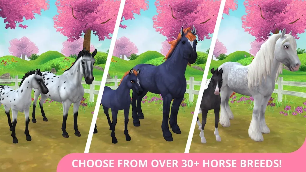 Star Stable Horses (СТар Стабл Хорсес) [МОД Меню] APK Android Screenshot 1