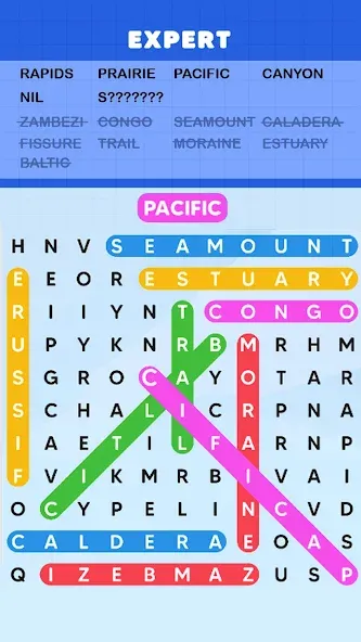 Word Search Puzzle Challenge (Уордсрч Пазл Челлендж) [МОД Premium] APK Android Screenshot 2