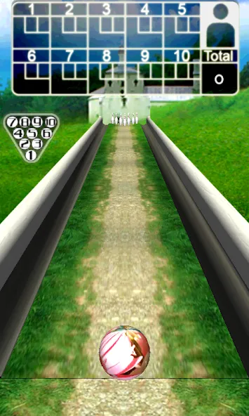 3D Bowling [МОД Все открыто] APK Android Screenshot 4