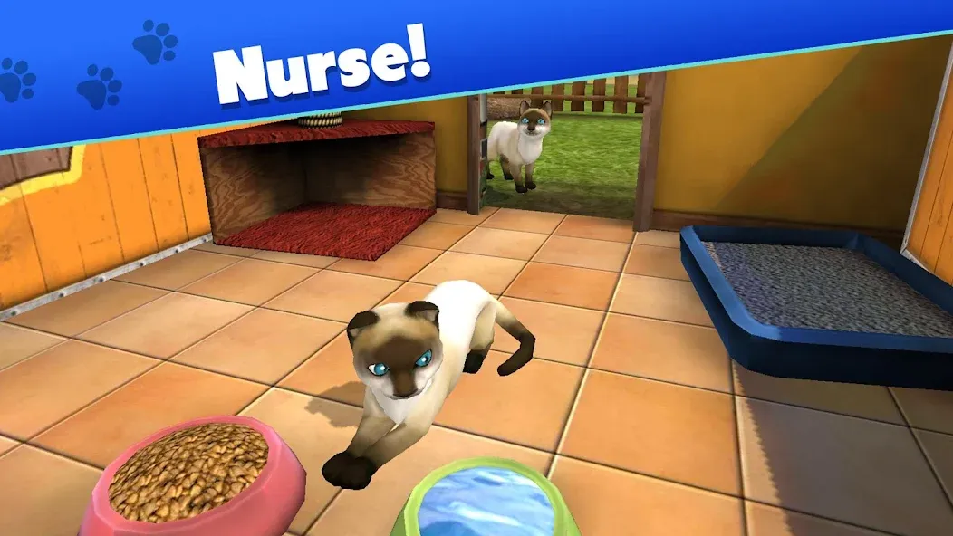 Pet World - My Animal Shelter (Пет Ворлд) [МОД Mega Pack] APK Android Screenshot 3