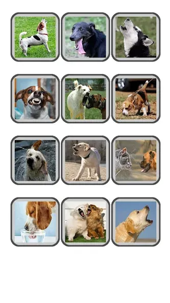 Dog Translator: Bark to Human [МОД Premium] APK Android Screenshot 5