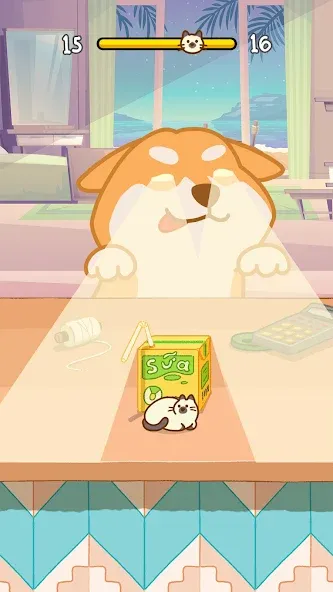 Hide And Seek: Cute Cat Escape [МОД Все открыто] APK Android Screenshot 3