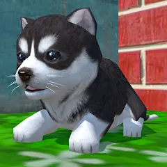 Cute Pocket Puppy 3D (Сьют Покет Паппи 3Д) [МОД Unlocked] APK Android