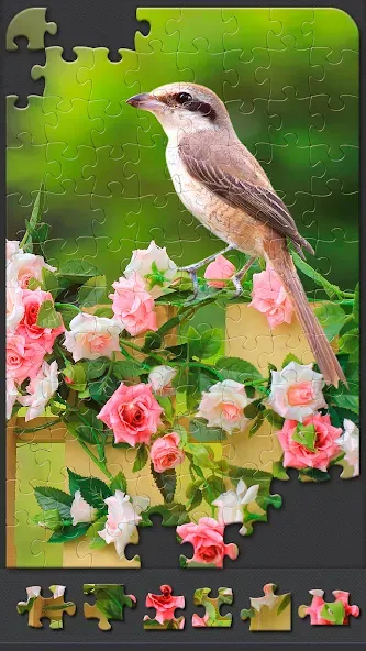 Jigsaw Puzzles for Adults [МОД Меню] APK Android Screenshot 3