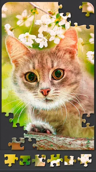 Jigsaw Puzzles for Adults [МОД Меню] APK Android Screenshot 5