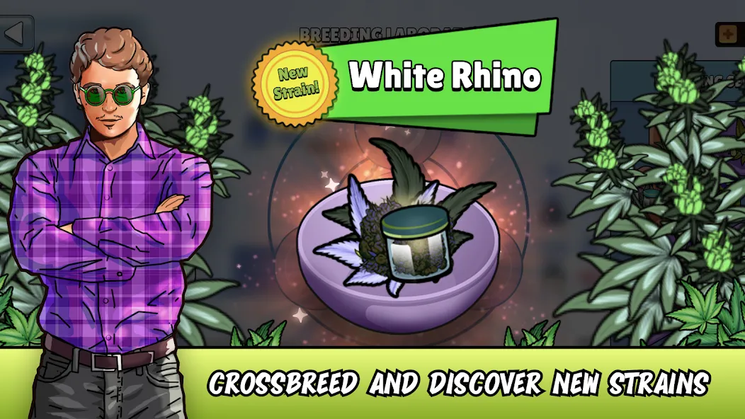 Weed City - Hemp Farm Tycoon (Уид Сити) [МОД Меню] APK Android Screenshot 1