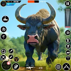 Wild Animal Deer Hunting Games (Охота на диких зверей с оружием  игры) [МОД Много денег] APK Android