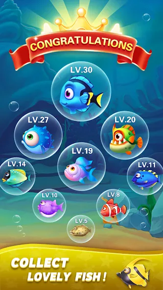 Block Ocean 1010 Puzzle Games (Блок Океан 1010 Головоломки) [МОД Меню] APK Android Screenshot 5