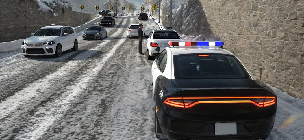 Drive Simulator: Traffic Race [МОД Все открыто] APK Android Screenshot 2