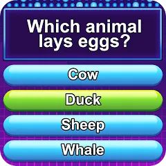 Trivia Crush (Тривия Краш) [МОД Unlocked] APK Android