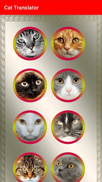 Translator for Cats Prank [МОД Бесконечные монеты] APK Android Screenshot 3