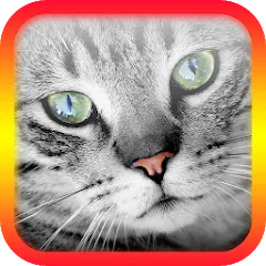 Translator for Cats Prank [МОД Бесконечные монеты] APK Android