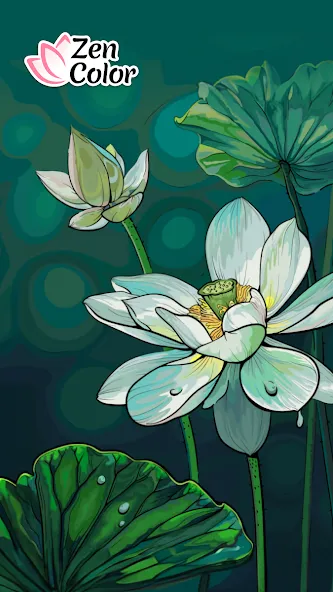 Zen Color - Color By Number (Зен Колор) [МОД Бесконечные монеты] APK Android Screenshot 1