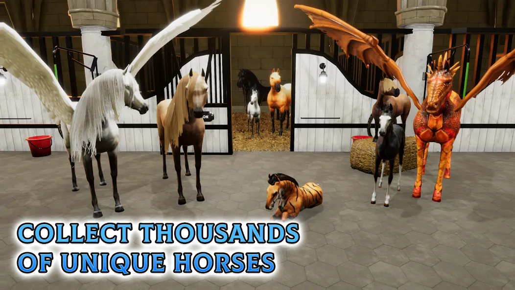 Horse Academy - Equestrian MMO (Хорс Академи) [МОД Premium] APK Android Screenshot 5