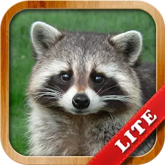 Animals for Kids [МОД Меню] APK Android