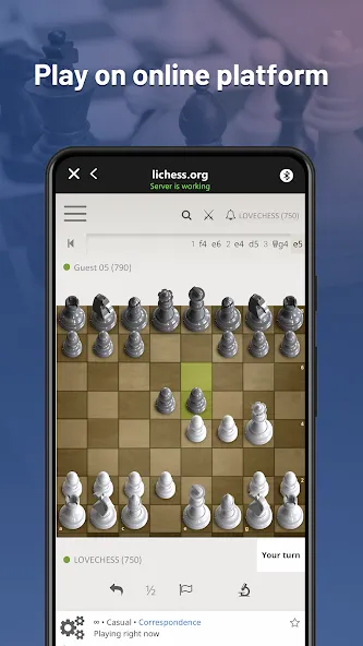Chessnut (Честнат) [МОД Mega Pack] APK Android Screenshot 2