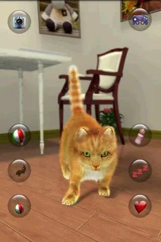 Talking Lovely Cat [МОД Mega Pack] APK Android Screenshot 1