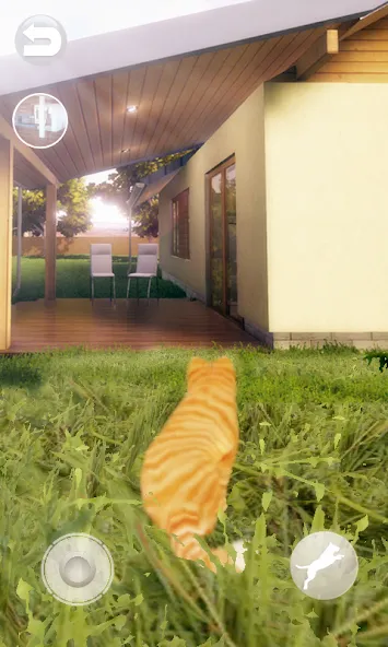 Talking Lovely Cat [МОД Mega Pack] APK Android Screenshot 2