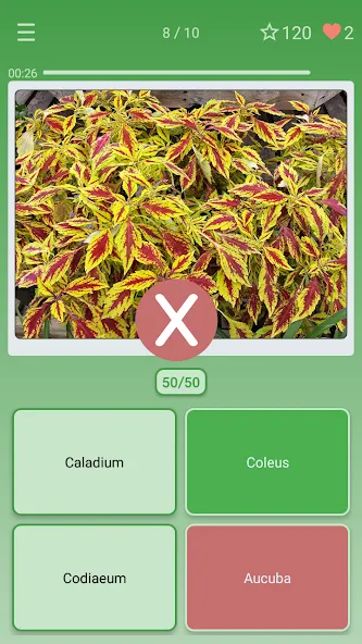 Quiz: Flowers, Plants [МОД Unlocked] APK Android Screenshot 3
